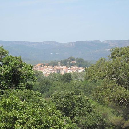 Apartment Les Cascadelles-13 By Interhome Cogolin Εξωτερικό φωτογραφία